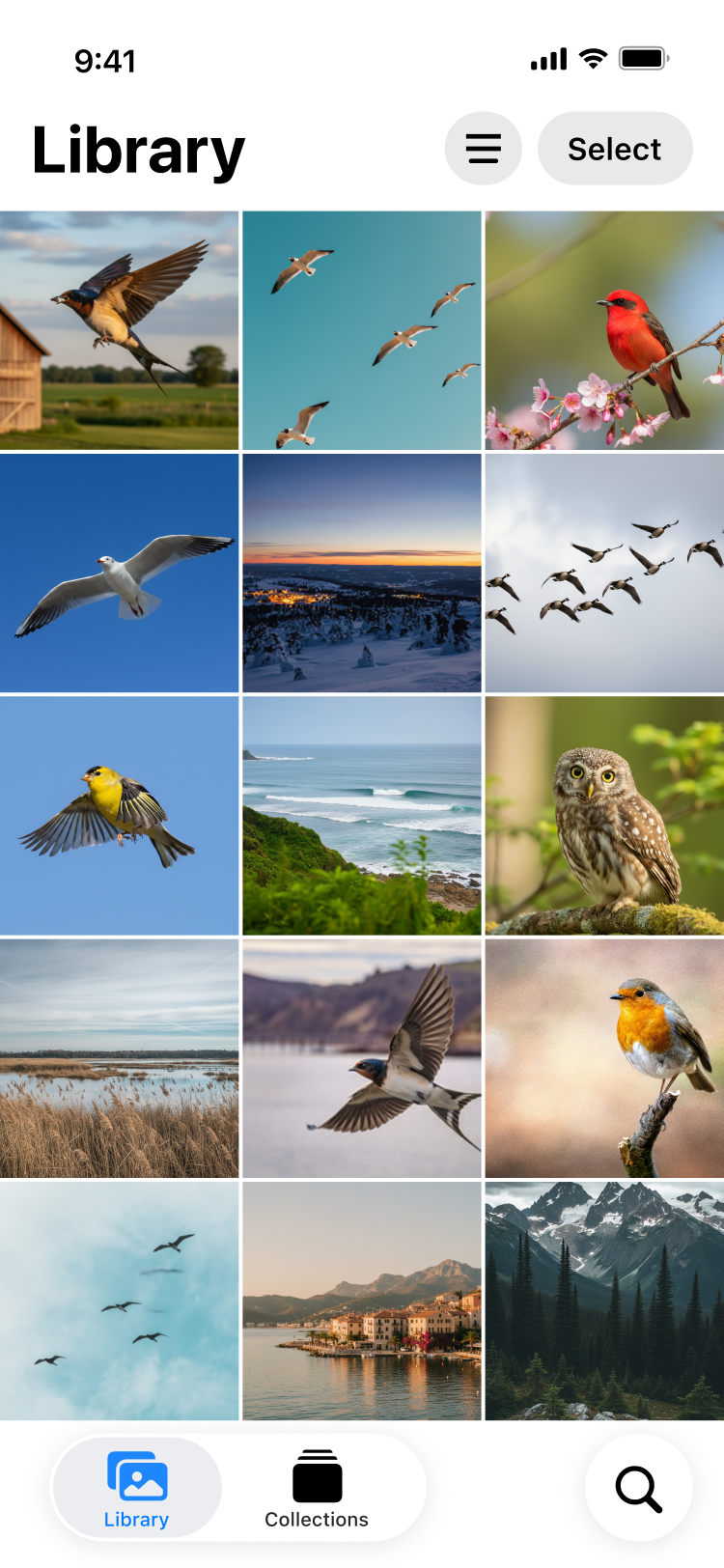 Photo library